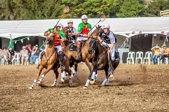 贝尔纳代斯 贝尔纳代斯
