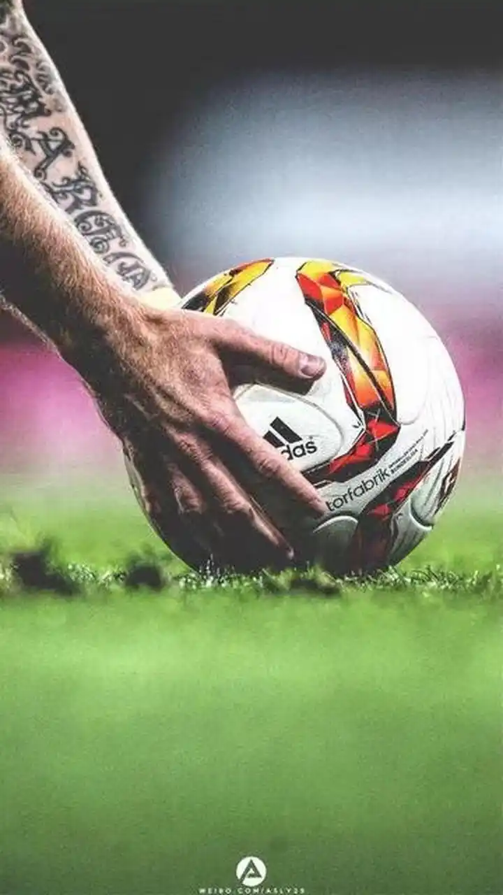 支柱作用 支柱作用