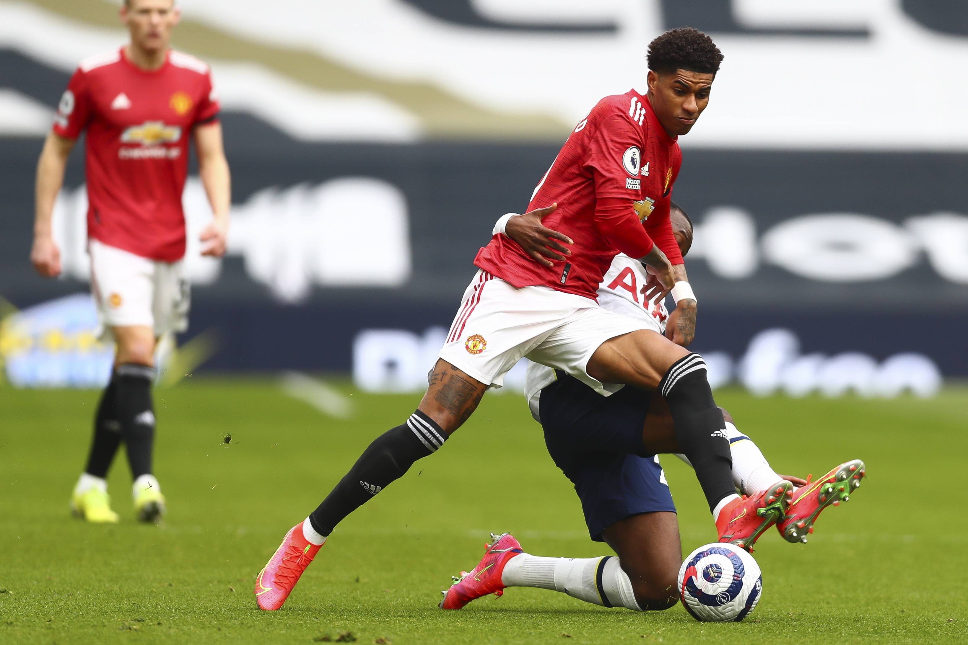 尽管拉维亚 尽管拉维亚